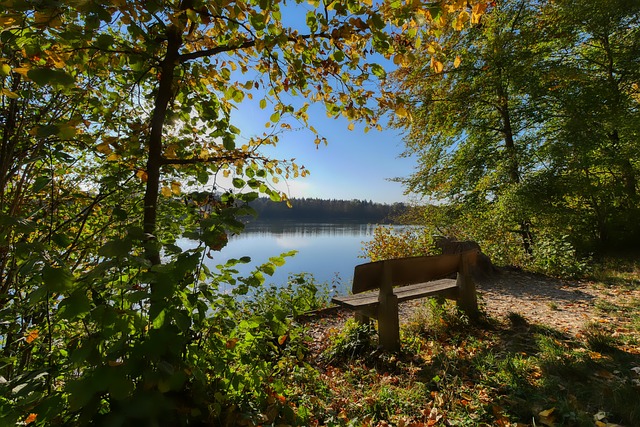 阿坎吉：踢球是我的喜好，期望給球迷帶來快樂同時也賺錢.