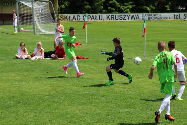 弗裏克的解 弗裏克的解